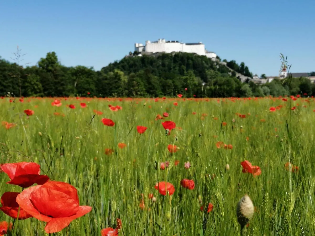 Pension Katrin Salzburg Avusturya